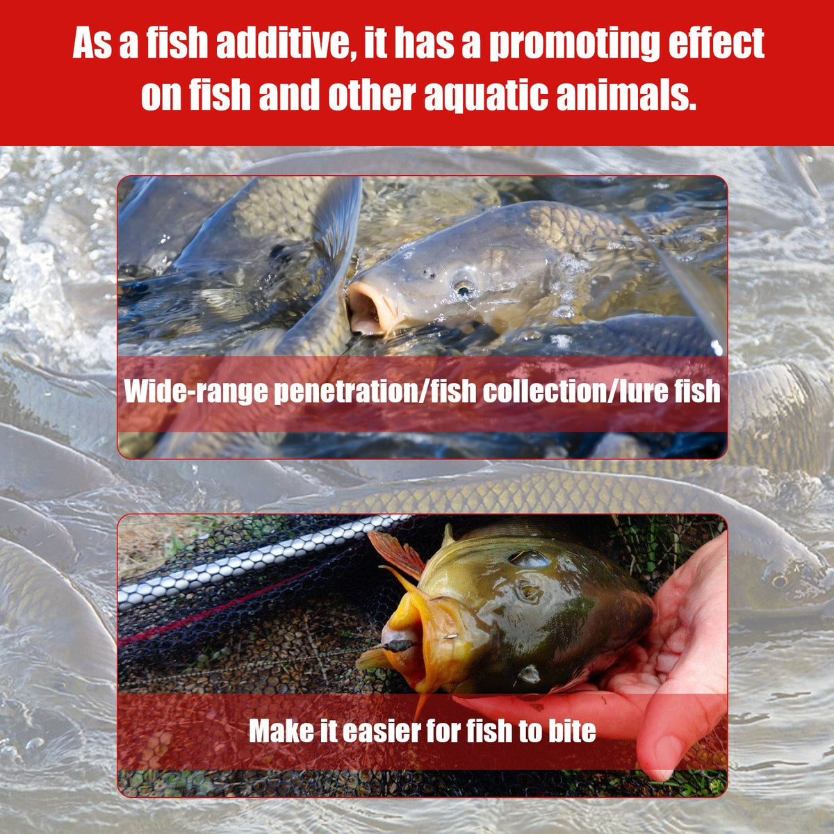 concentrated fishing bait