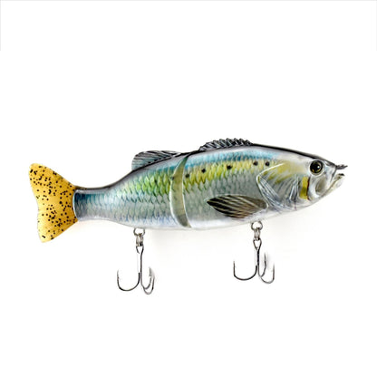 Fishing lure resembling a fish with a white background