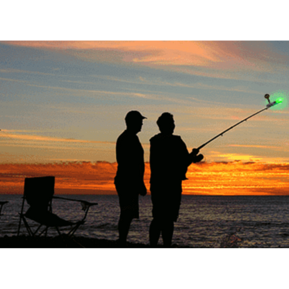 LED Fishing Rod Luminous Stick with Alarm